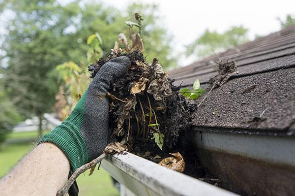 diy gutter cleaning can be risky, especially for those who are not experienced in working at heights and handling debris-filled gutters